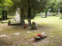 1-50 Csányi Elvíra